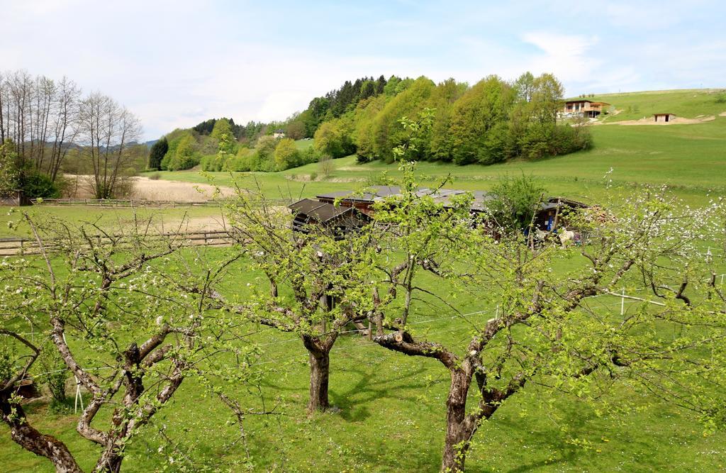 Familienparadies Reichenhauser Keutschach am See Exterior foto
